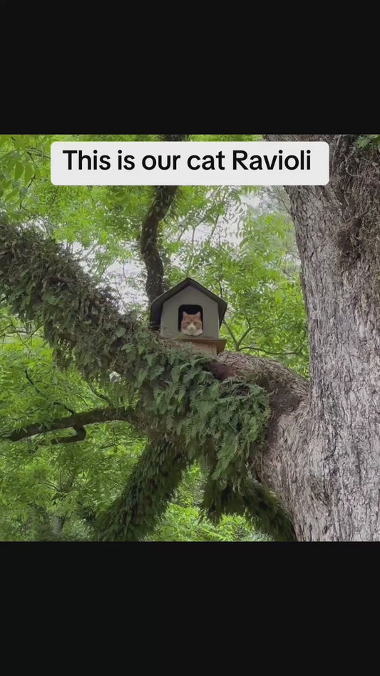 Man Builds an Incredible Treehouse for his Outdoor Cat