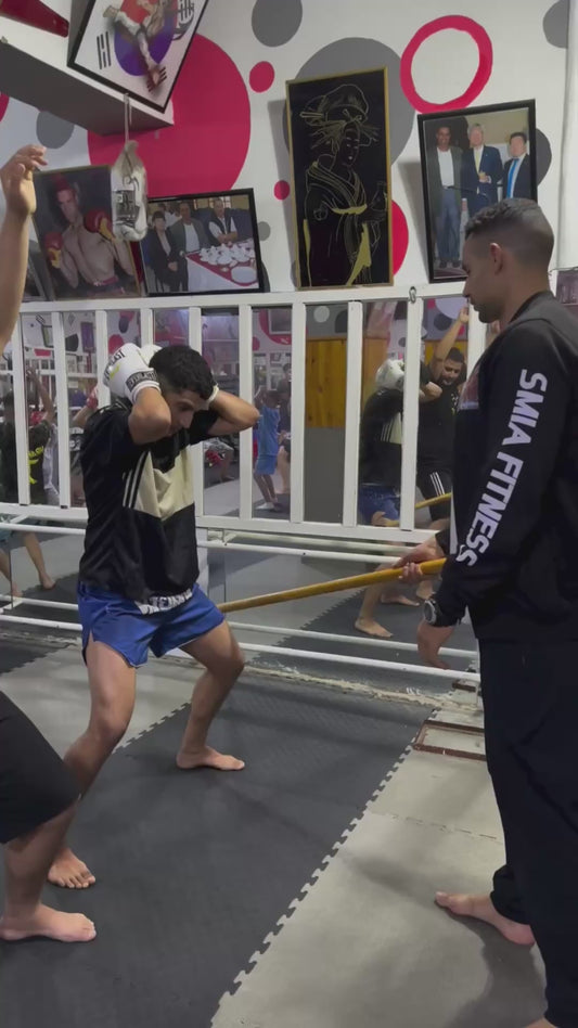 Brutal Boxing Training Technique