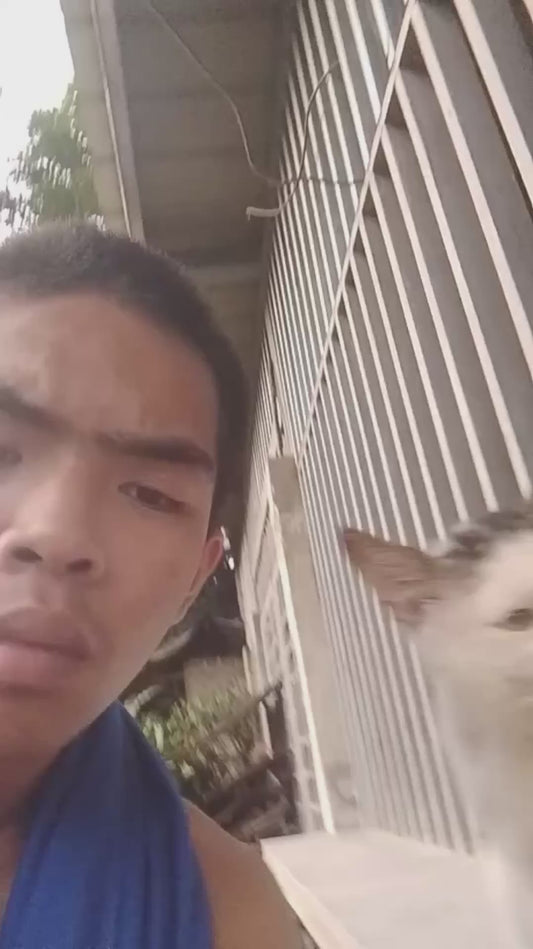 Guy Records Funny Video With a Cat