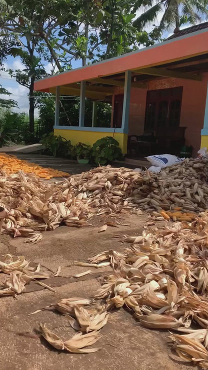 Cat Acts as Security Guard on Grandma's Farm