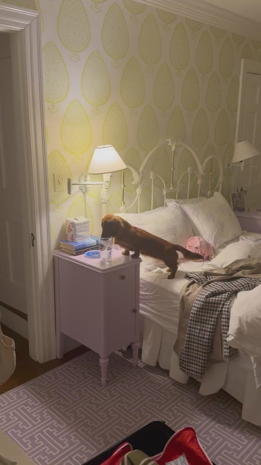 Dog Drinks From Owner's Glass of Water