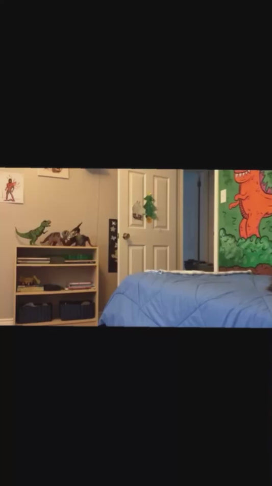 Little Boy’s Priceless Reaction to Dad’s Dinosaur Mural — and the Emotional “End of an Era” Years Later