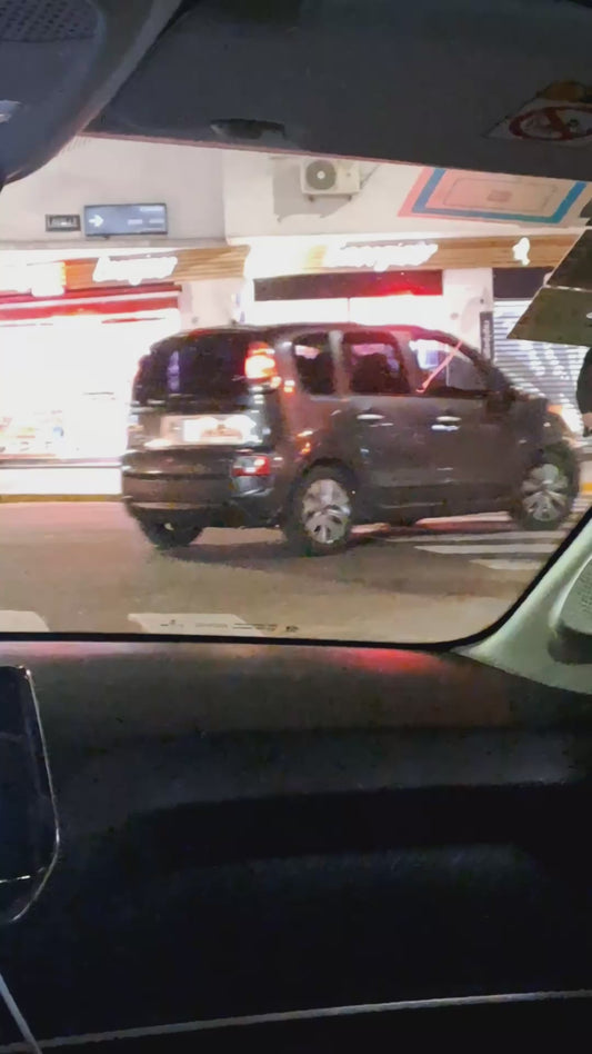 Dog Helps Owner Carry Groceries Home