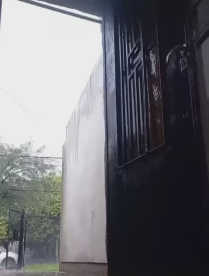 Cat Yells at Owner After Being Brought Inside from the Rain