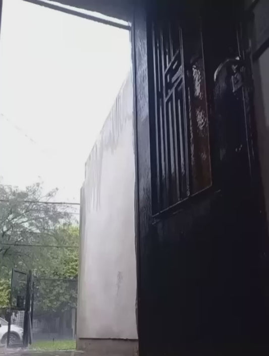 Cat Yells at Owner After Being Brought Inside from the Rain