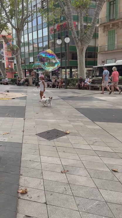 Dog Plays with Bubbles in the Street
