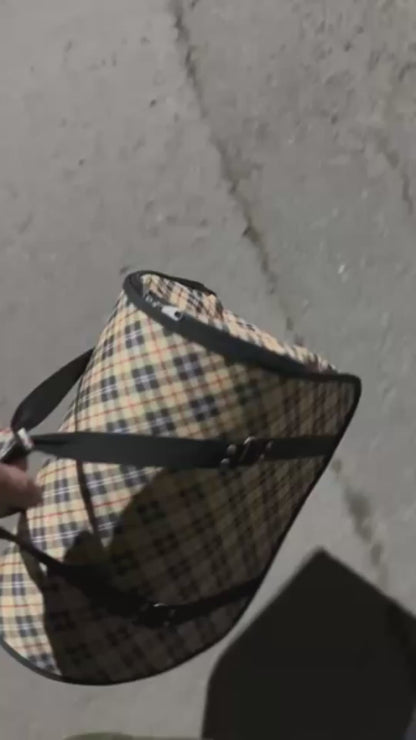 Man Finds and Rescues an Abandoned Kitten at a Bus Stop