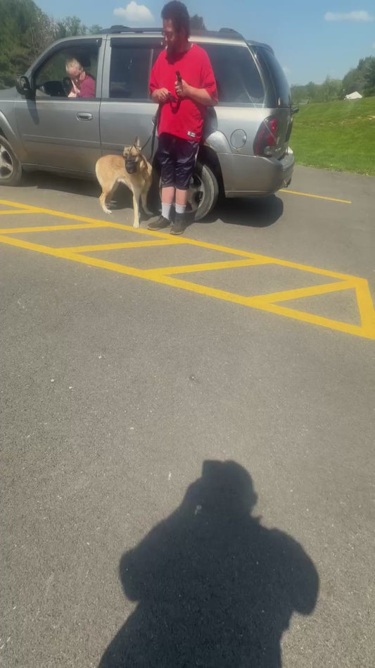 Dog Trainer Instantly Calms Aggressive Dog