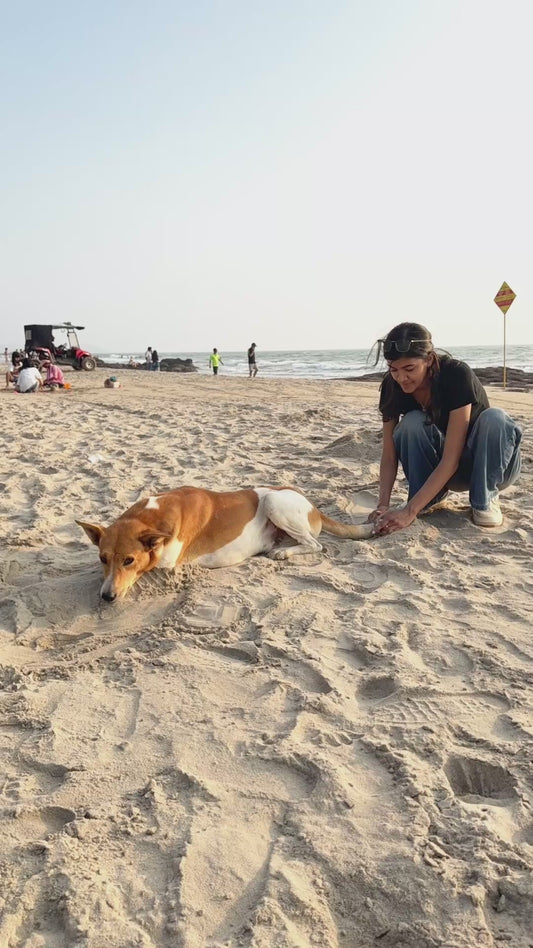 Burying a Random Dog in the Sand