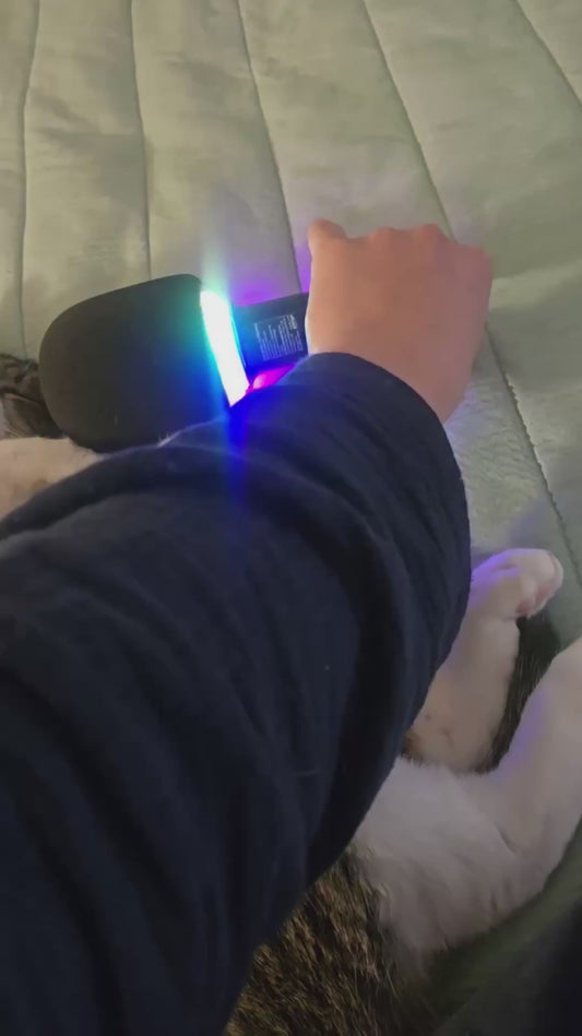 Sleeping Cat Snores Into Microphone