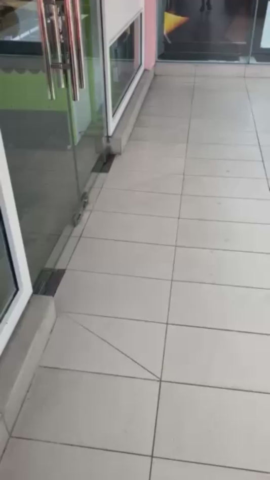 Owner Picks Up Her Introverted Dog From Daycare