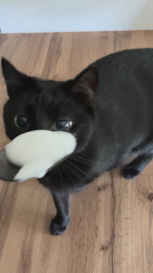 Cat Drinks Frothy Milk From a Spoon