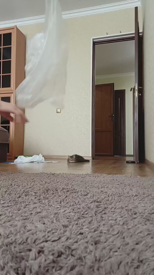 Kitten Jumping up to Catch Plastic Bags