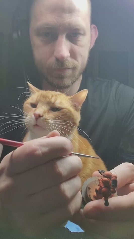 Cat is the Most Adorable Painting Assistant