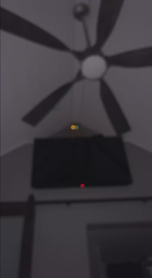 Orange Cat Attempts to Defy Gravity