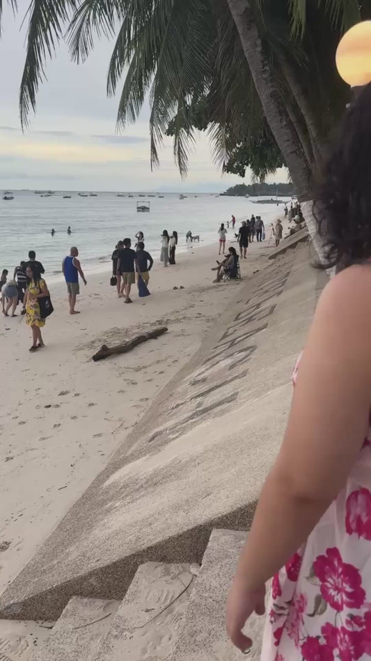 Dog Goes Surfing with the Help of his Owner
