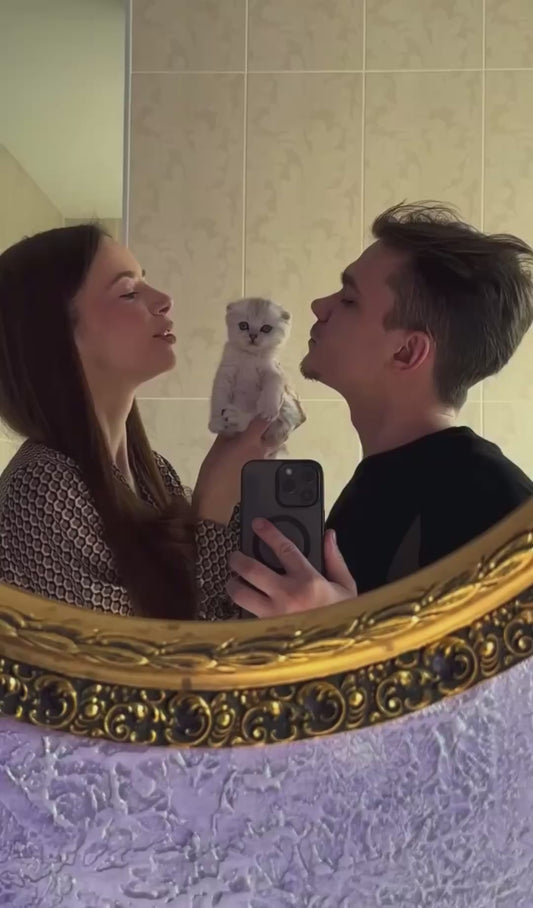 Adorable Time Lapse of a Kitten’s Growth