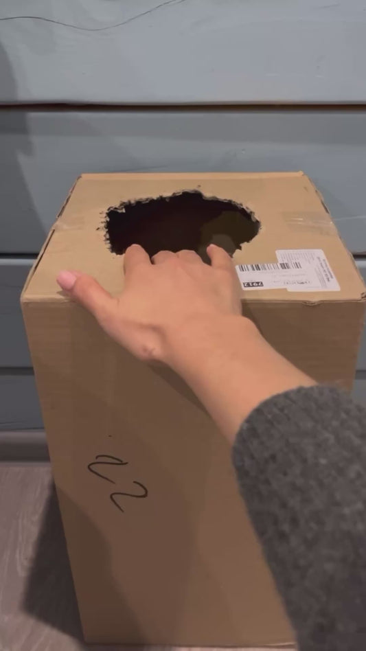 Black Cat Attacks Owner’s Hand From Box