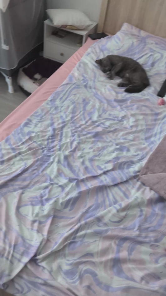 Man Finds Cat Sleeping in His Spot, and Doesn't Dare to Move It