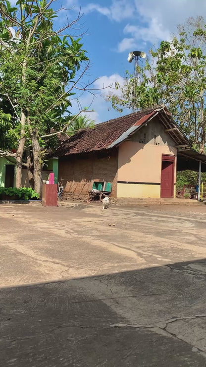 Cat Acts as Security Guard on Grandma's Farm