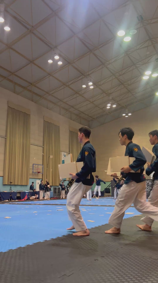 Taekwondo Performer Shows Off Incredible Board Breaking Skills