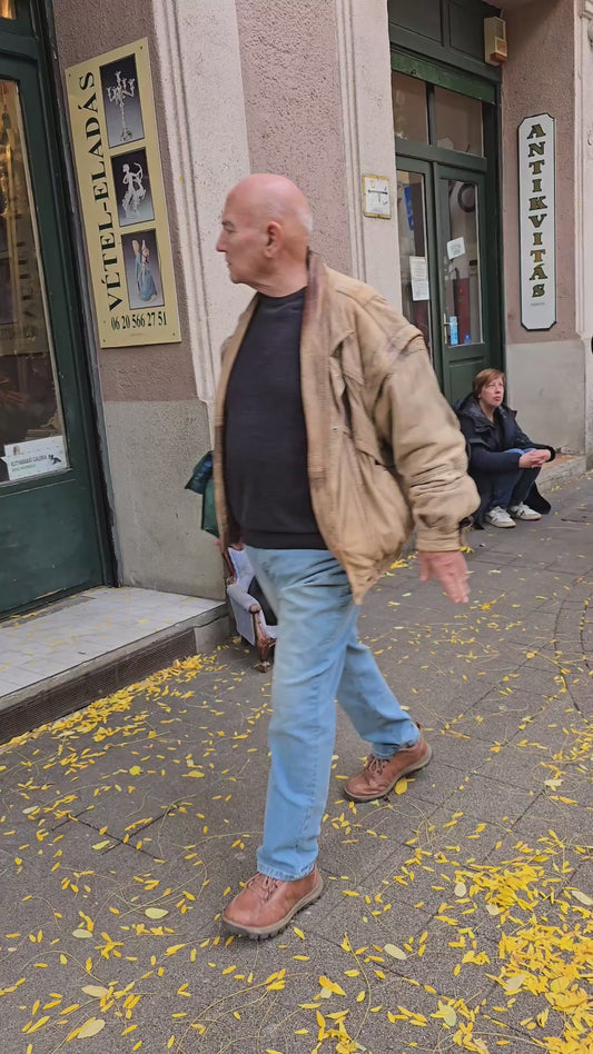 Dachshund Sits on His “Throne” and Barks Orders at Passersby