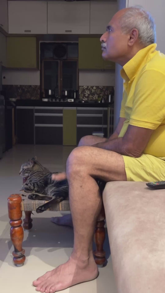 Dad Falls in Love with the Cat he "Never Wanted"