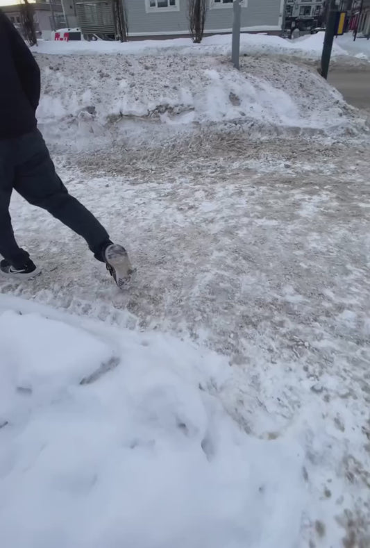 Norwegian Local Welcomes Tourists in Style