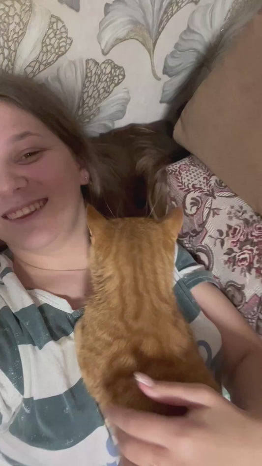 Cat’s Personality Switches Up When Owner’s Boyfriend Comes Home