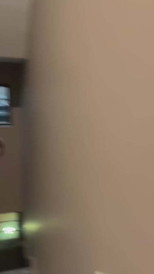 Owner Perfectly Predicts Dog's Behaviour