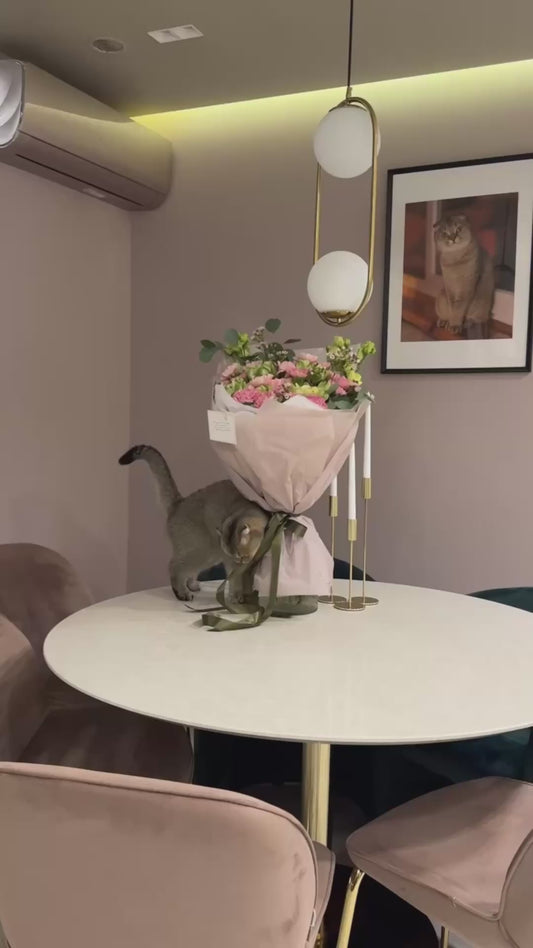 Cat Thinks Valentines Flowers are for Her