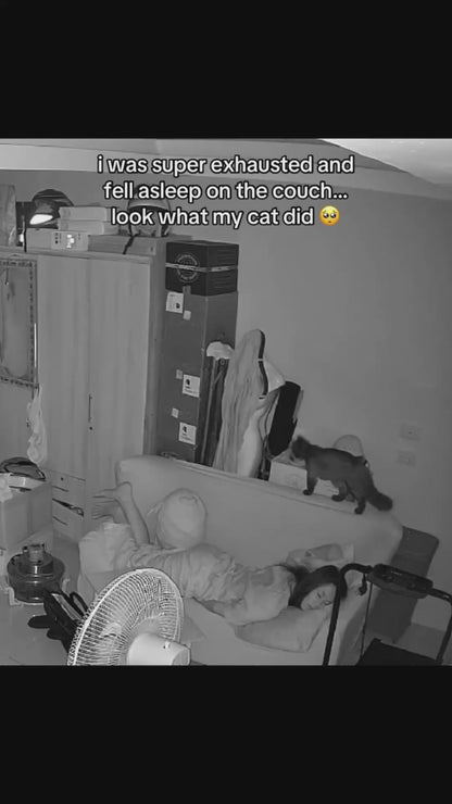 Cat Looks After Tired Owner who Fell Asleep on the Couch