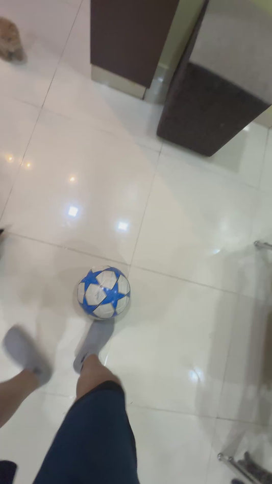 Guy Plays Football Against Kittens