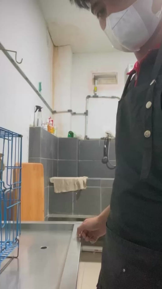 Shelter Cat Shows Affection to Caretaker