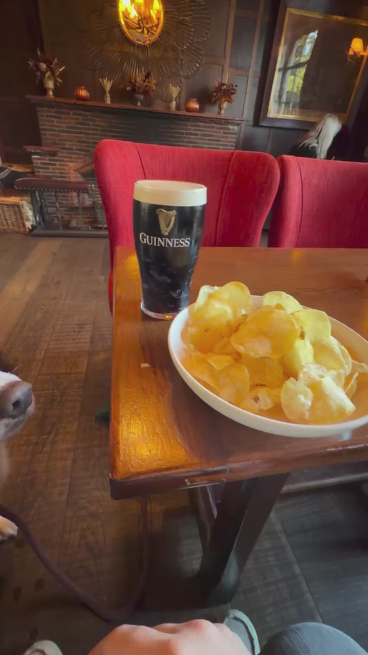 Dog Eats Crisps at a Pub