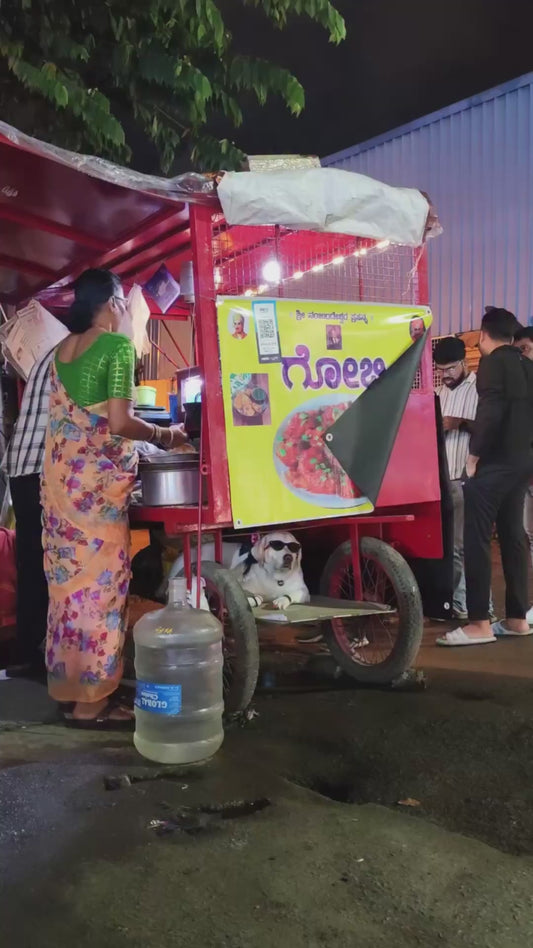 Coolest Street-Food Sidekick: Sunglasses Dog Chilling Under Food Cart