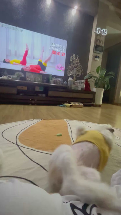 Dog Follows Along to a Workout on the TV