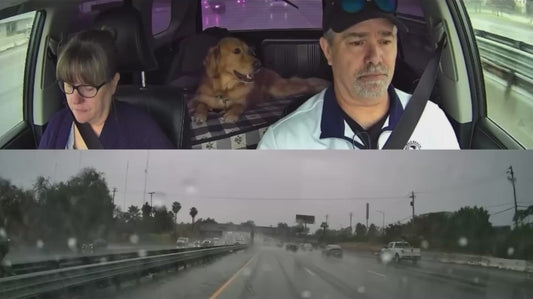 Man's Fast Thinking Helps to Narrowly Avoid Accident