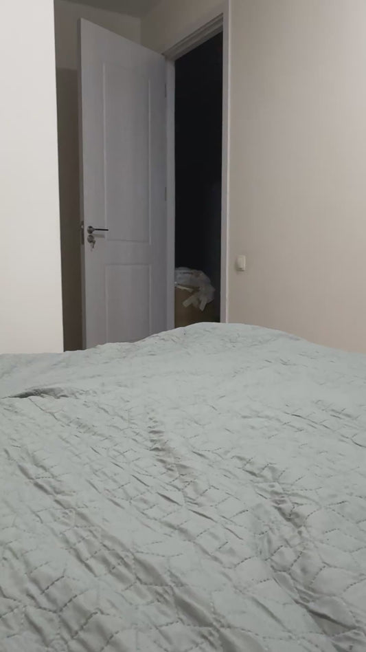 Cat Attempts to Jump Scare Owner