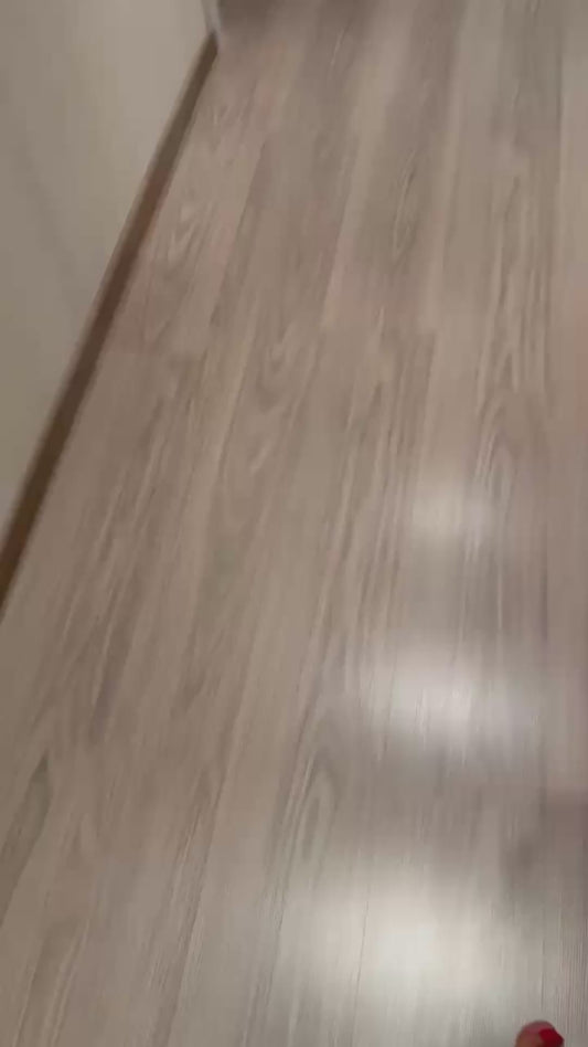 Parents Surprise Their Son With a New Puppy