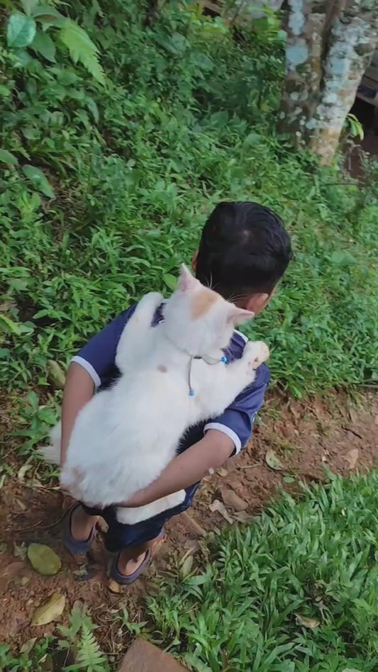 Kid Carries his Cat like a Backpack