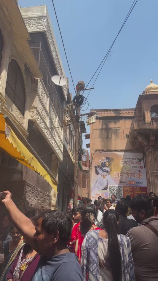 Monkey Drinks Fanta On Top of a Power Pole