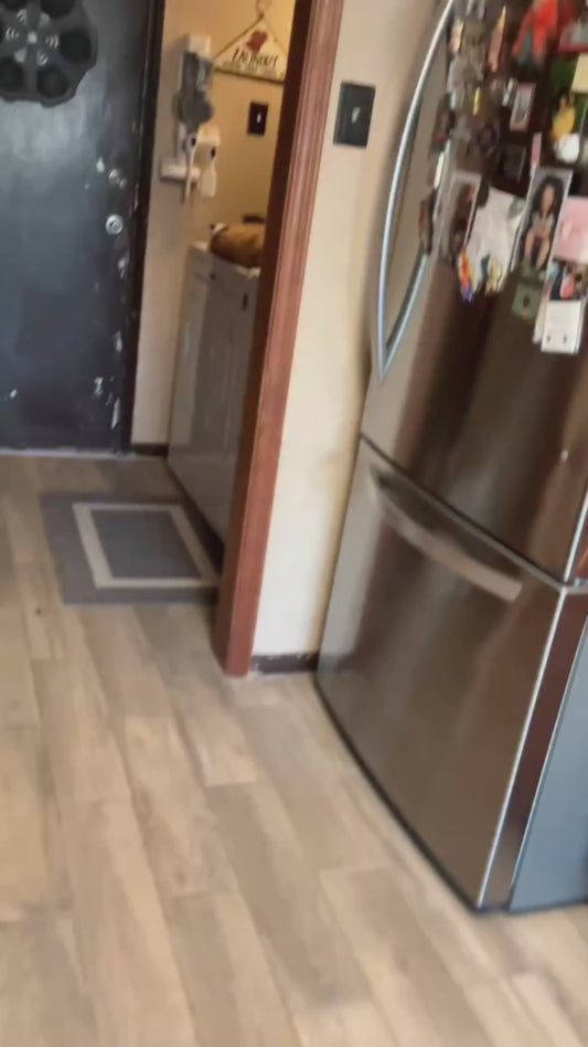 Owner Finds Her Cats Napping on Top of the Dryer