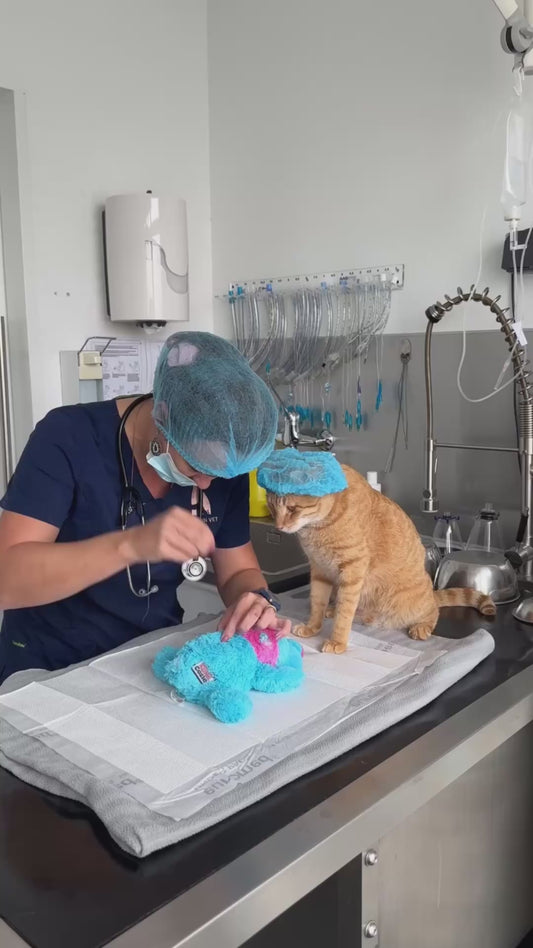 Vet Performs “Emergency Surgery” on Cat’s Favorite Toy
