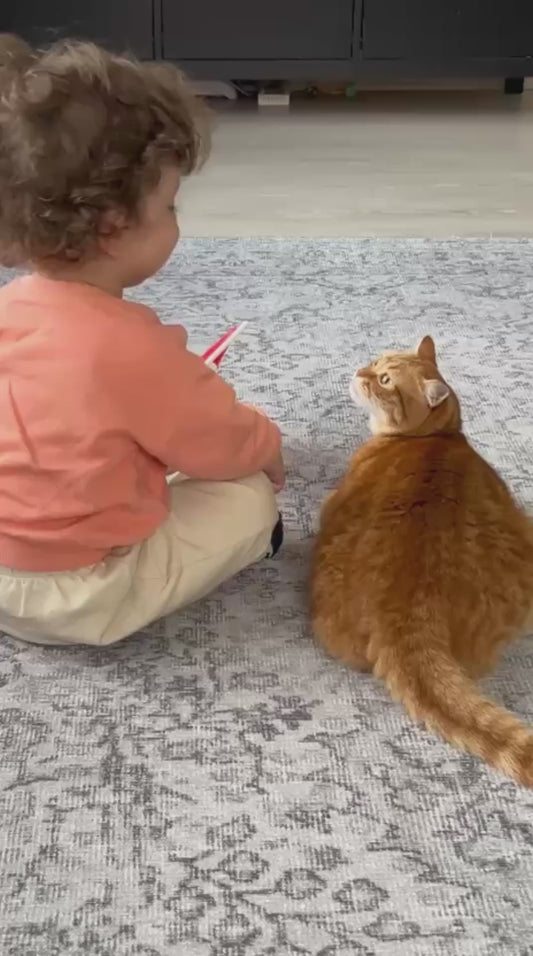 Toddler Shares a Sweet Moment With the Family Cat