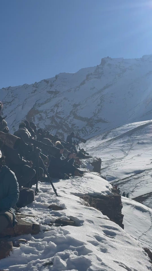 Photographers Hold Their Breath During Rare Snow Leopard Sighting