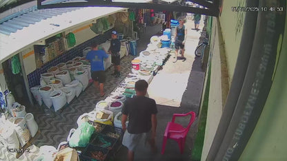 Dog Pulls Off Perfect Prank on Market Shopper