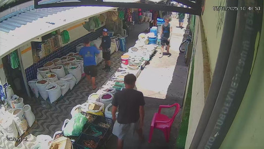 Dog Pulls Off Perfect Prank on Market Shopper