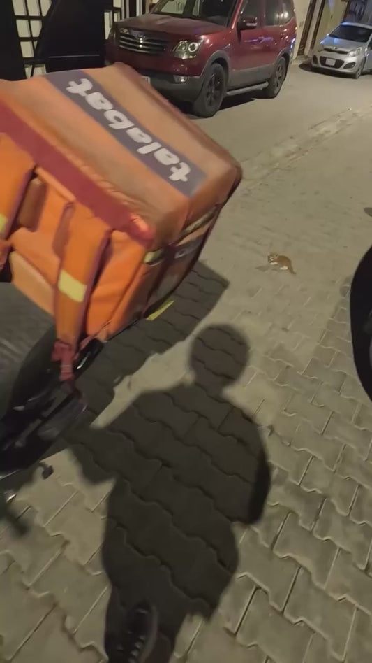 Delivery Driver Finds Tiny Kitten Alone on the Street