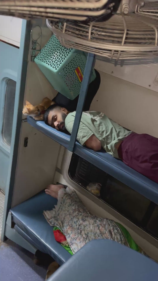 Cat Casually Naps With Owner on Overnight Train Ride
